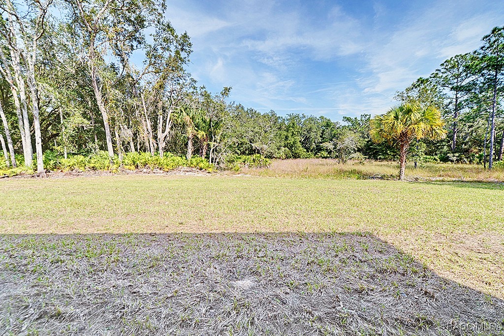 12463 W Checkerberry Drive, Crystal River, Florida image 47