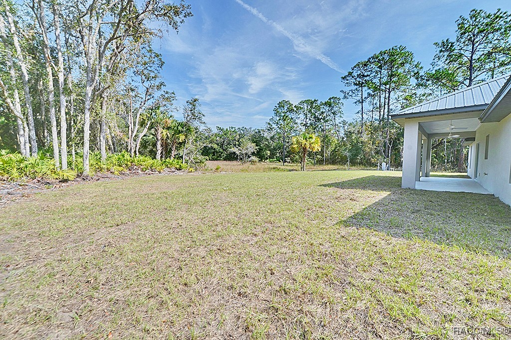 12463 W Checkerberry Drive, Crystal River, Florida image 46