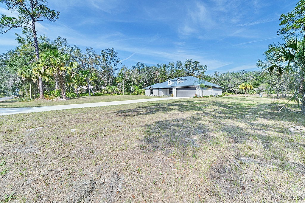 12463 W Checkerberry Drive, Crystal River, Florida image 3