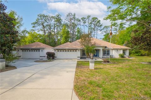 Homes For Sale - 1256 W Sphere Place<br/> Beverly Hills, FL 34465