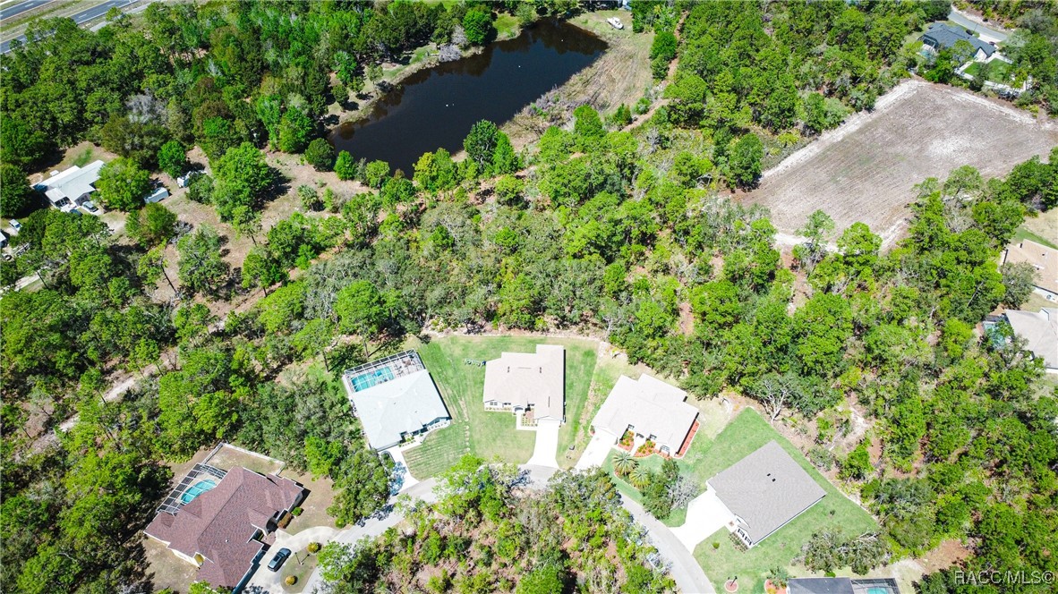 16 Cyclamen Court, Homosassa, Florida image 6