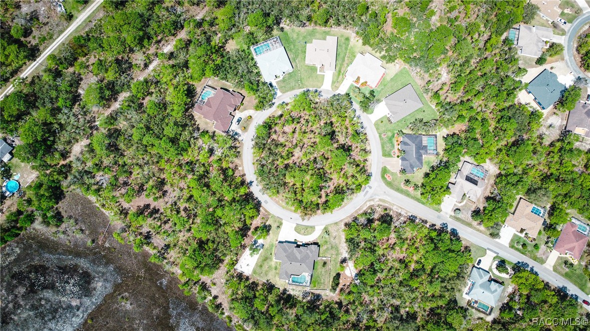 16 Cyclamen Court, Homosassa, Florida image 7