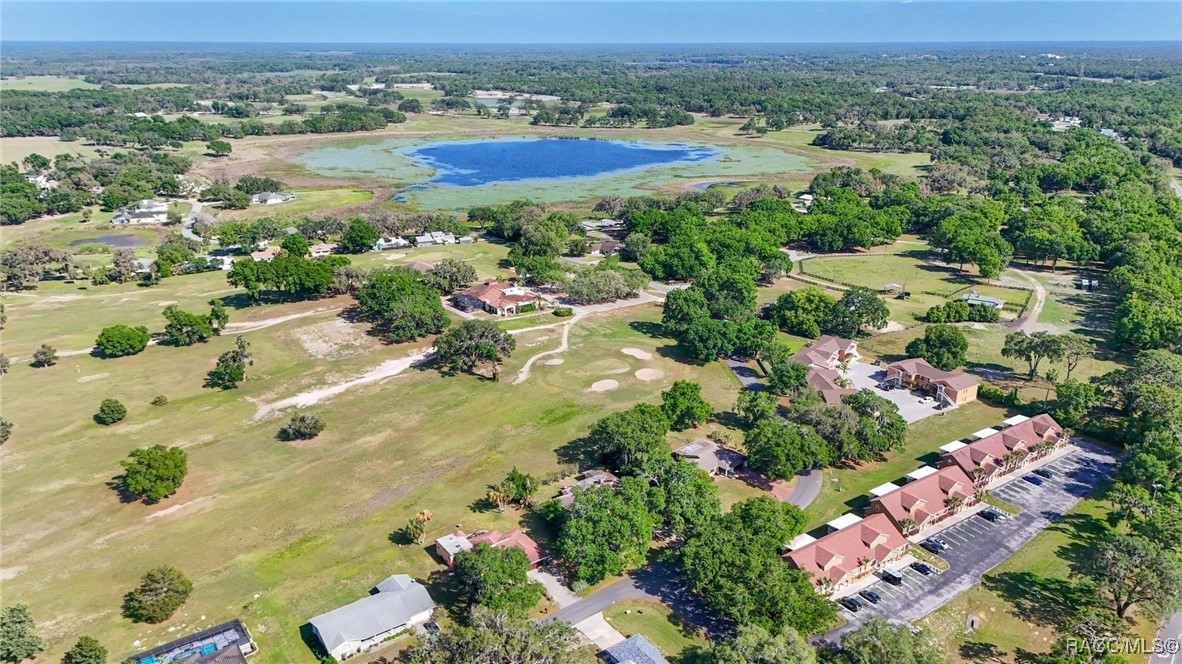 4401 E Windmill Drive, Inverness, Florida image 45