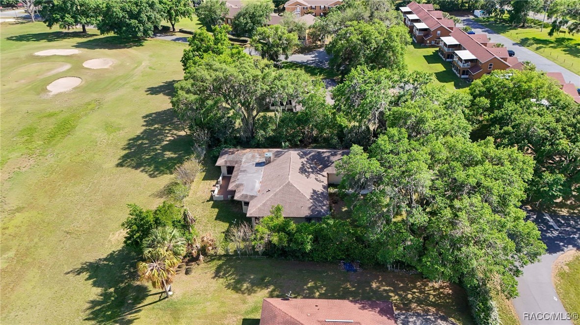 4401 E Windmill Drive, Inverness, Florida image 47