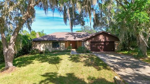 4401 E Windmill Drive Inverness FL 34453