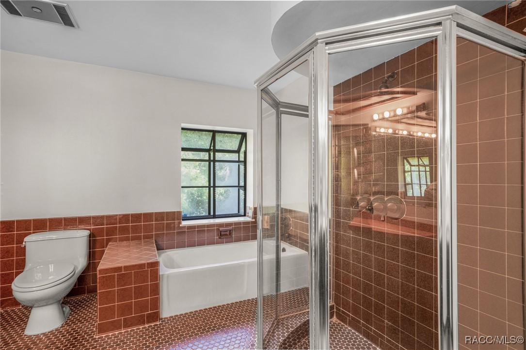 4401 E Windmill Drive, Inverness, Florida image 29