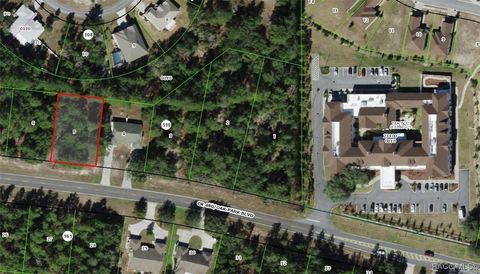 Vacant Land For Sale - 5557 W Oak Park Boulevard<br/> Homosassa, FL 34446