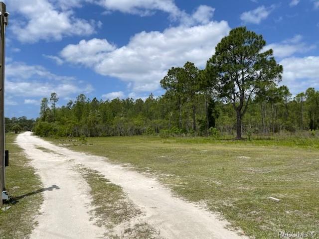 8107 W Mayfair Drive, Homosassa, New York image 2