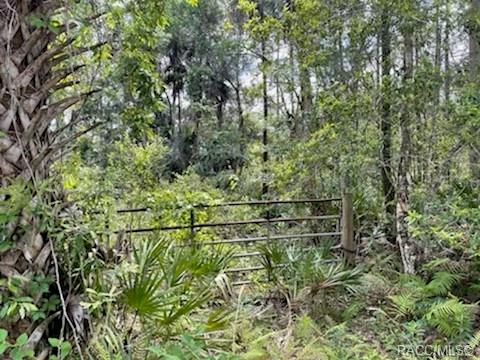 8107 W Mayfair Drive, Homosassa, New York image 6