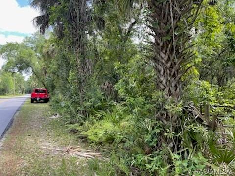 8107 W Mayfair Drive, Homosassa, New York image 8