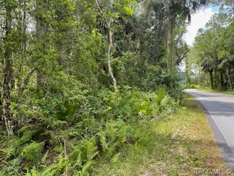 8107 W Mayfair Drive, Homosassa, New York image 1