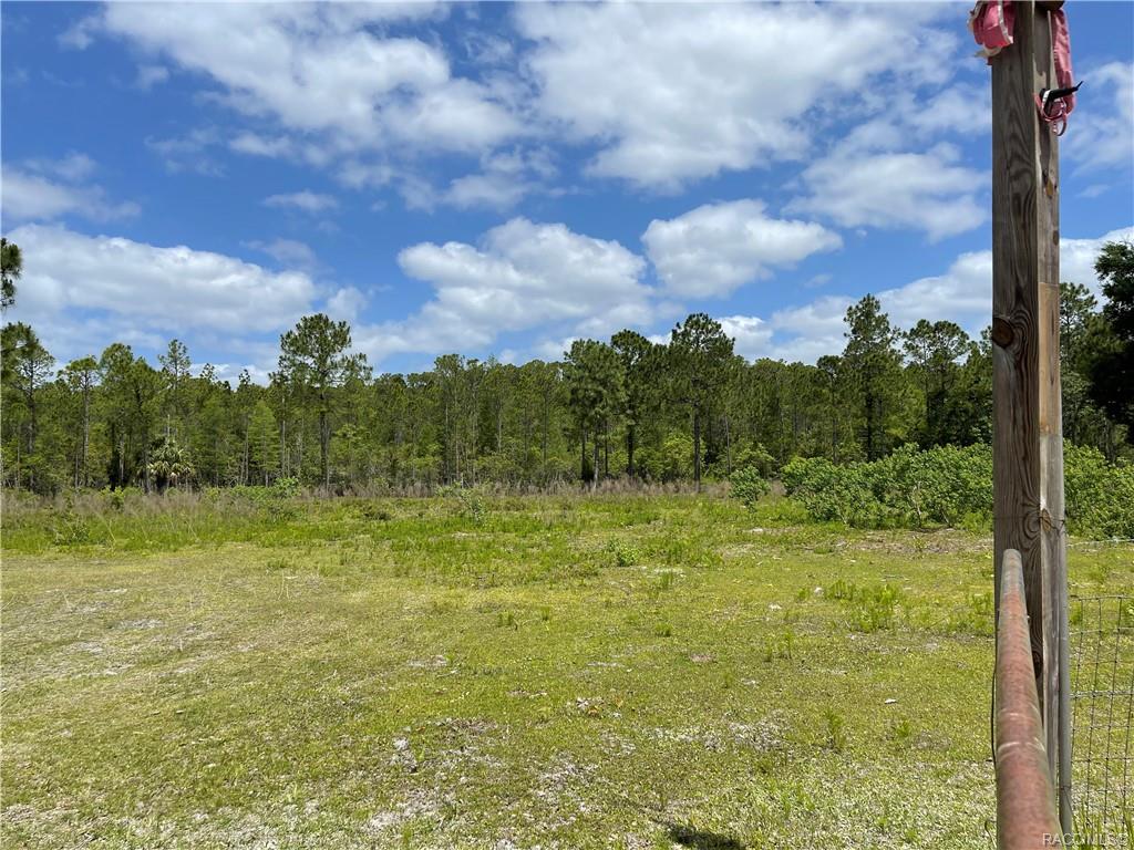 8107 W Mayfair Drive, Homosassa, New York image 3