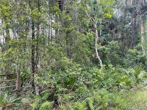 8107 W Mayfair Drive, Homosassa, New York image 7