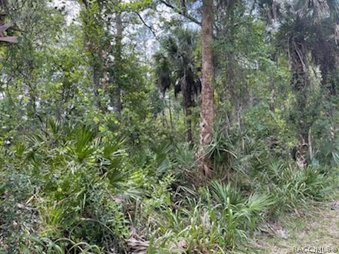 8107 W Mayfair Drive