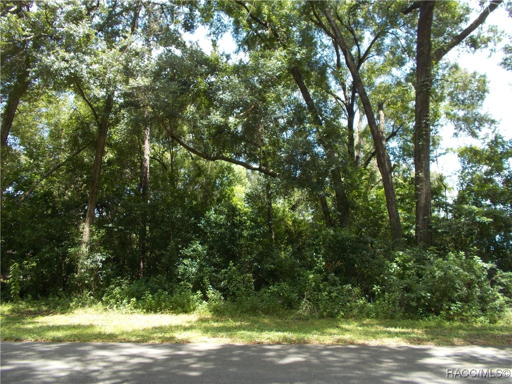 2449 W Fairway Loop, Citrus Springs, Florida image 1