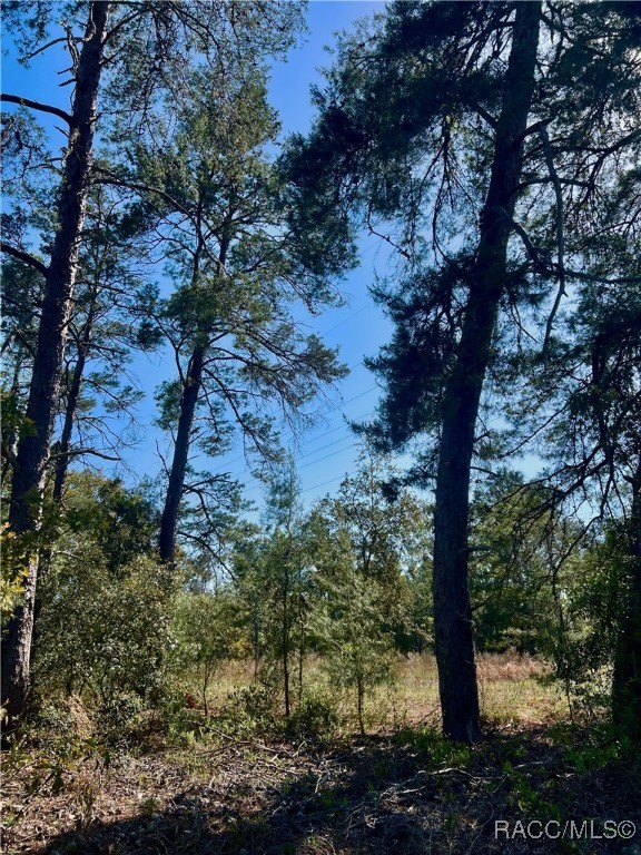 48 Grass Street, Homosassa, New York image 4