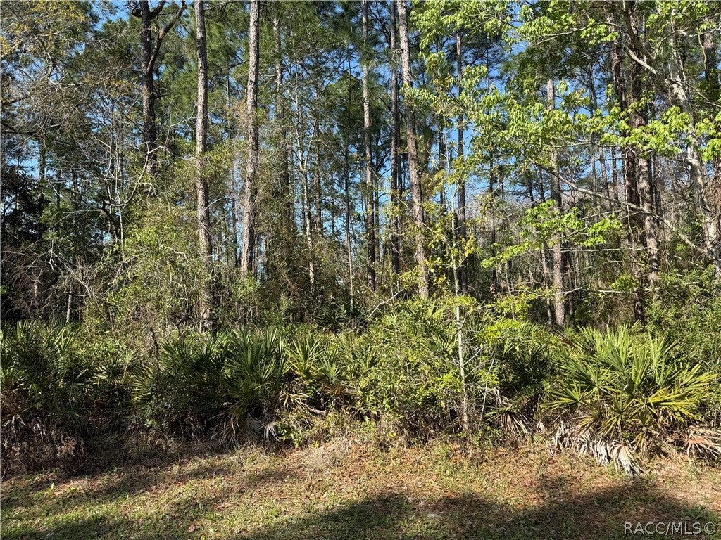 Photo 1 of 6 — 22 Mangrove Court N, Homosassa, FL 34446