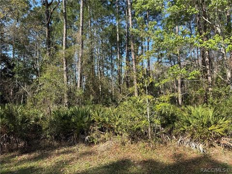 Homes For Sale - 22 Mangrove Court<br/> Homosassa, FL 34446