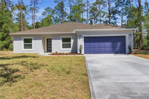 Homes For Sale - 8760 N Vince Drive<br/> Dunnellon, FL 34434