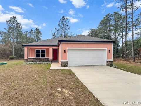 A home in Citrus Springs