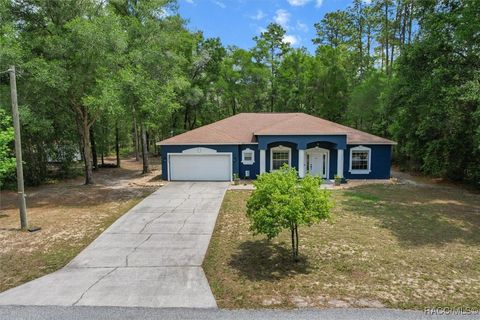 9273 N Rhine Way Citrus Springs FL 34434