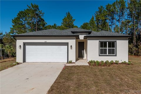 2833 E Newhaven Street Inverness FL 34453