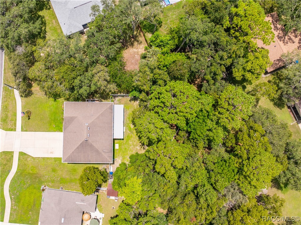 5147 Elwood Road, Spring Hill, Florida image 32