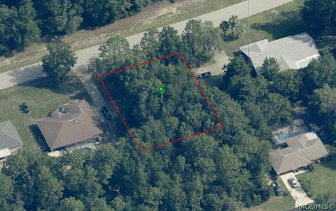 Vacant Land For Sale - 8049 N Golfview Drive<br/> Citrus County, Citrus Springs, FL 34434