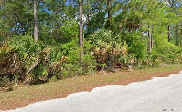 9218 N BROMELIAD TER, CRYSTAL RIVER, FL 34428 - Image 5ba6a8c20e232bf42418230b6780fcad/2191108076