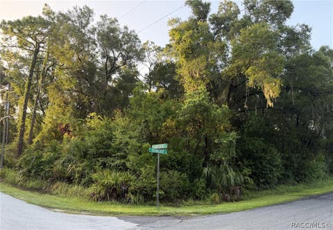 Vacant Land For Sale - 9826 W Gardeners Lane<br/> Crystal River, FL 34428