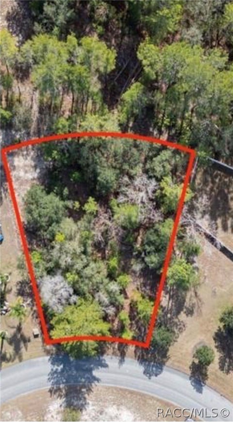 Vacant Land For Sale - 18 Judi Court<br/> Homosassa, FL 34446