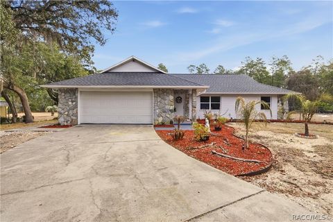 Homes For Sale - 5145 SE 189th Terrace<br/> Ocklawaha, FL 32179