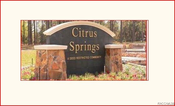 9129 N Burmany Way, Citrus Springs, New York image 5