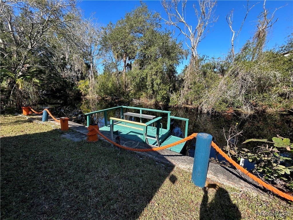 10019 E Bluegill Court, Inverness, Florida image 35