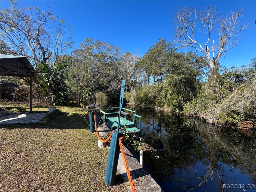 10019 E Bluegill Court, Inverness, Florida image 31