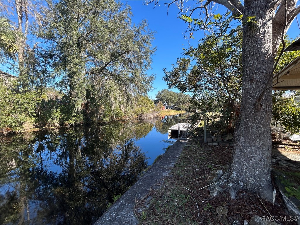 10019 E Bluegill Court, Inverness, Florida image 32