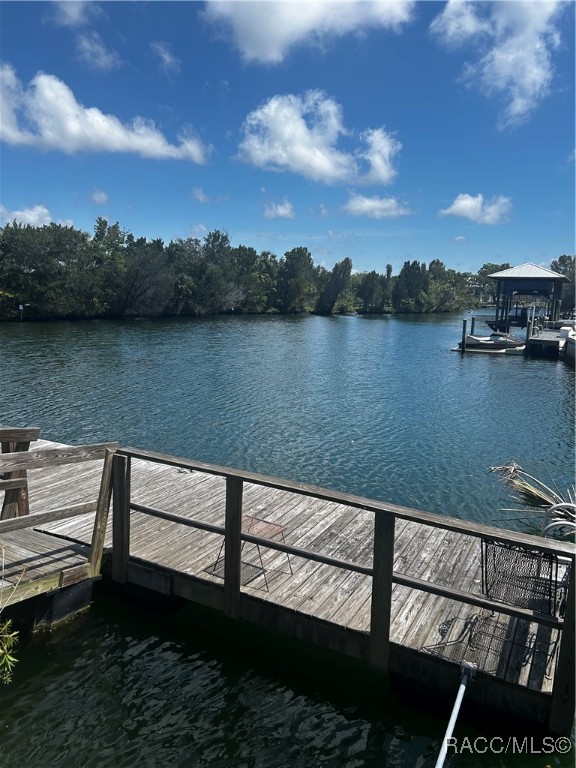 11 SE Kings Bay Drive, Crystal River, Florida image 17