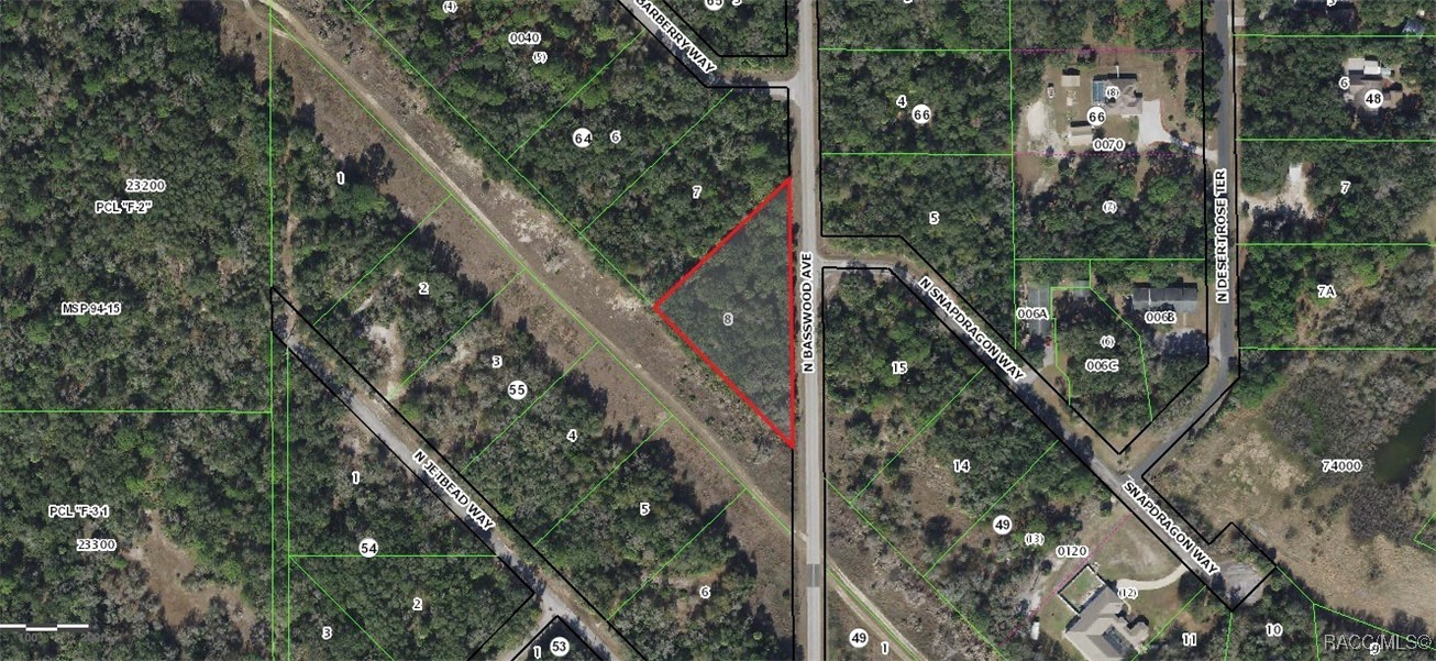 8442 N Basswood Avenue, Crystal River, Florida image 1