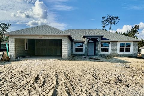 A home in Citrus Springs