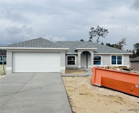 A home in Citrus Springs