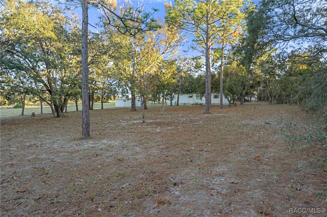 4116 W Oaklawn Street, Lecanto, New York image 9