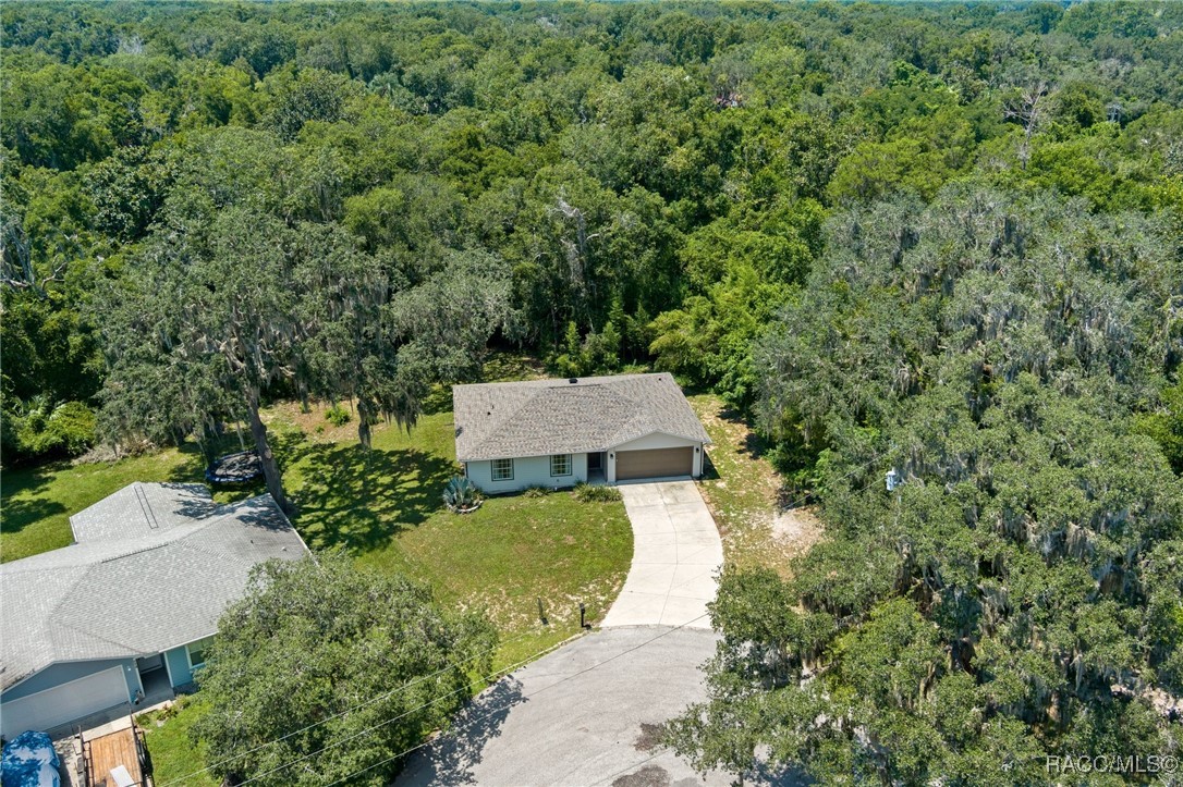 762 S Doug Point, Inverness, Florida image 3