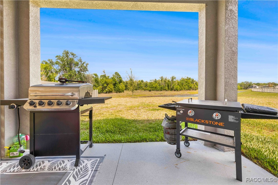 12107 Nouveau Avenue, Spring Hill, Florida image 33