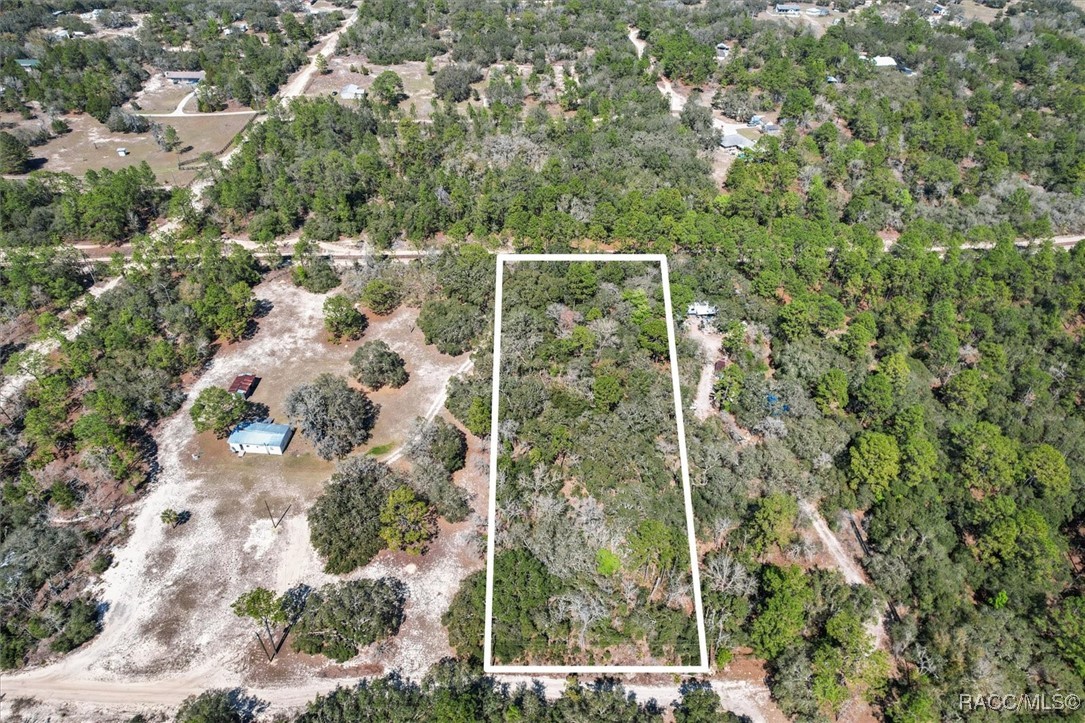 3539 W Barrett Court, Dunnellon, Florida image 1