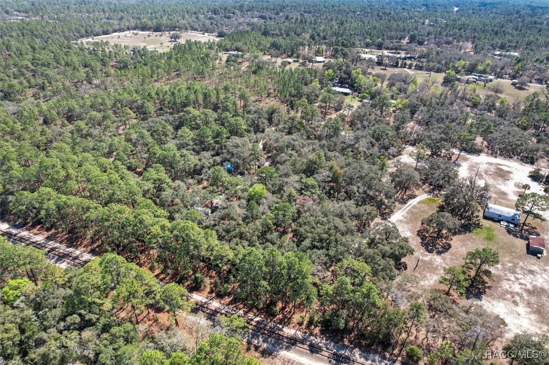 3539 W Barrett Court, Dunnellon, Florida image 14