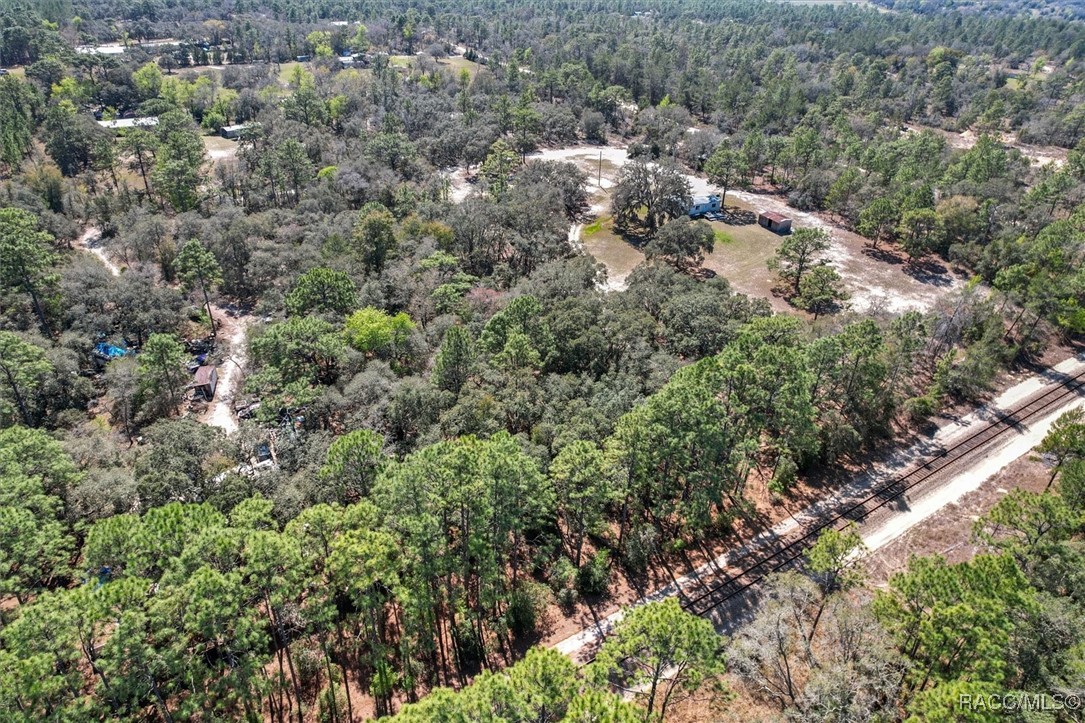 3539 W Barrett Court, Dunnellon, Florida image 17