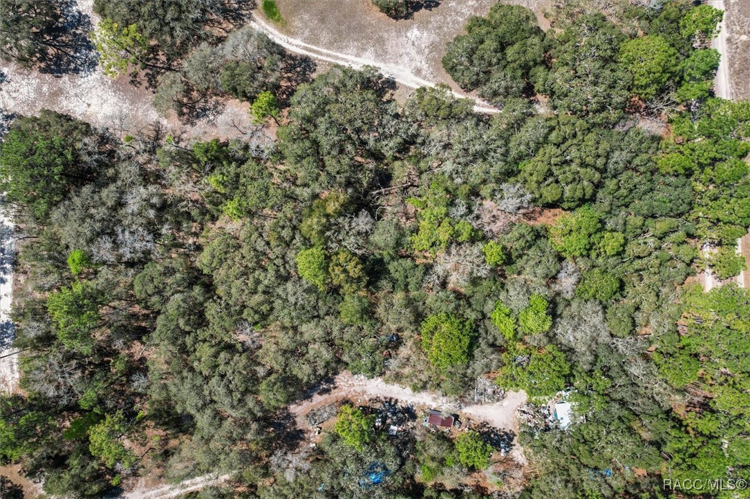 3539 W Barrett Court, Dunnellon, Florida image 6