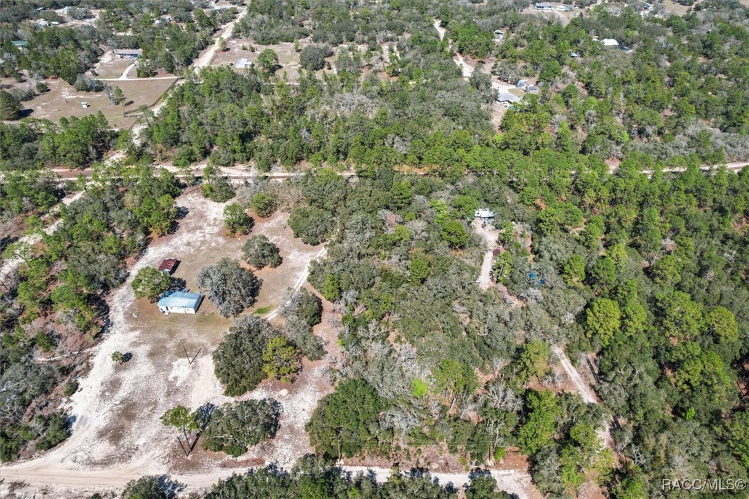 3539 W Barrett Court, Dunnellon, Florida image 7