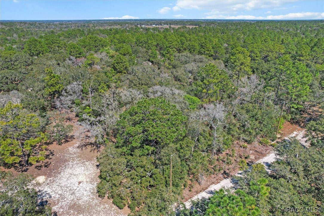 3539 W Barrett Court, Dunnellon, Florida image 12