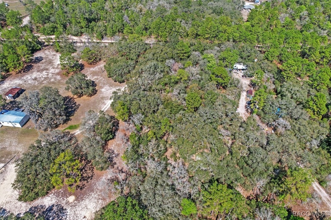 3539 W Barrett Court, Dunnellon, Florida image 20